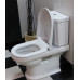 Унитаз-компакт Villeroy & Boch Hommage 6662 10 R1 alpin 6662 10 R1