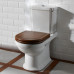 Унитаз-компакт Villeroy & Boch Hommage 6662 10 R1 alpin 6662 10 R1