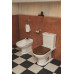 Унитаз-компакт Villeroy & Boch Hommage 6662 10 R1 alpin 6662 10 R1